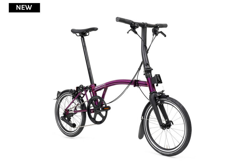 P Line 12V S Amethyst Lacquer